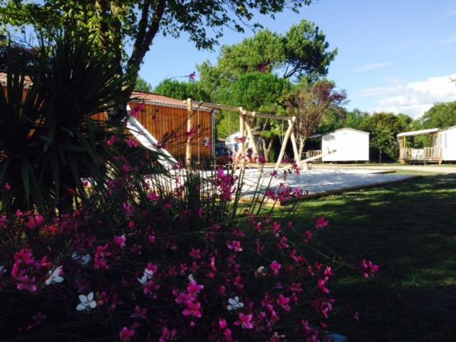 Camping Aux Couleurs Du Ferret Lège-Cap-Ferret Eksteriør billede