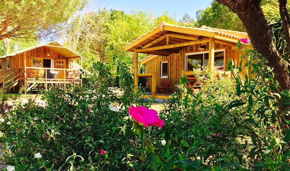 Camping Aux Couleurs Du Ferret Lège-Cap-Ferret Eksteriør billede