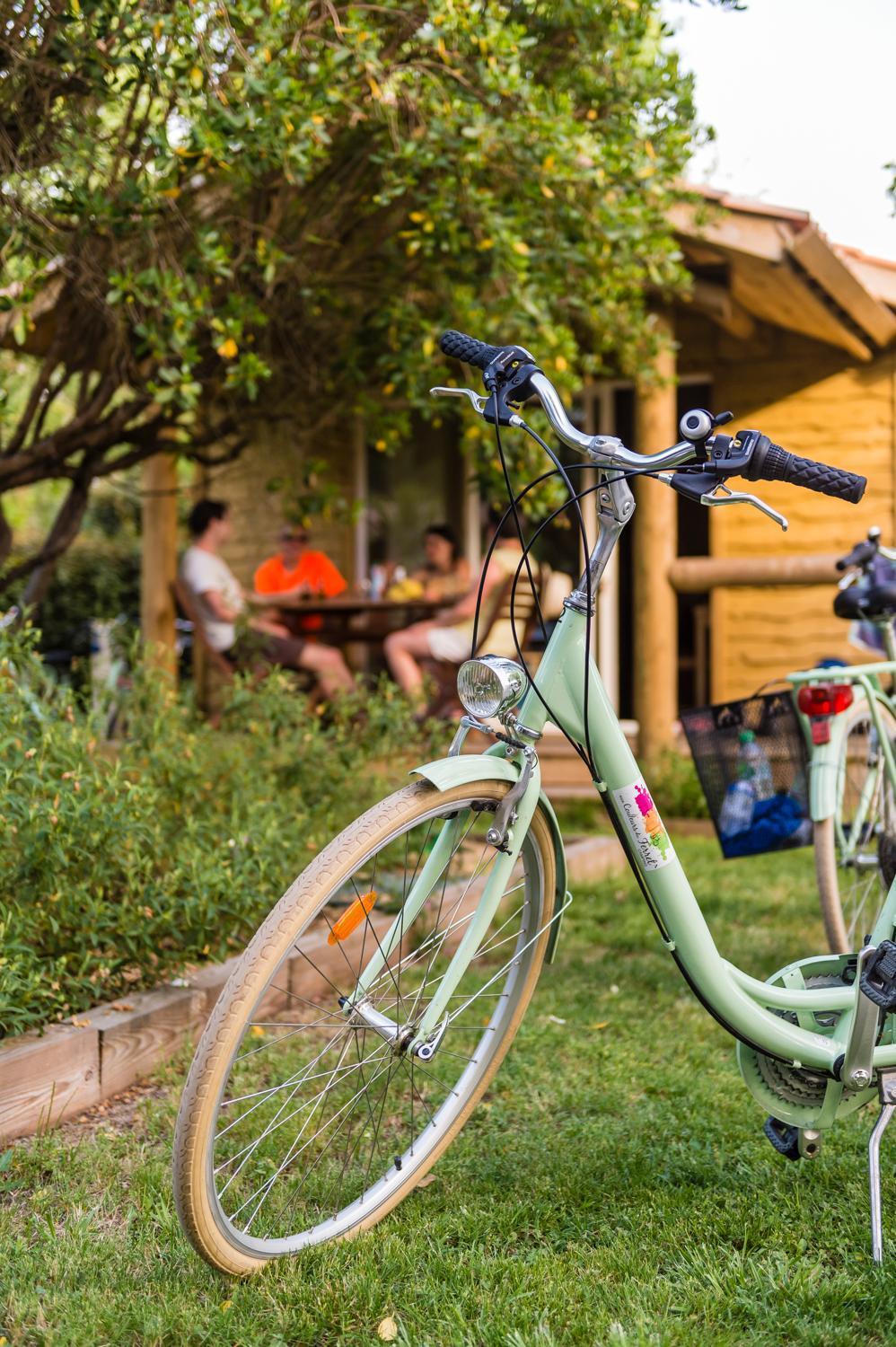 Camping Aux Couleurs Du Ferret Lège-Cap-Ferret Eksteriør billede